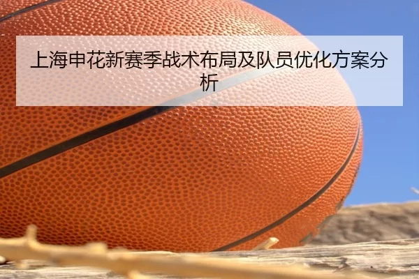 上海申花新赛季战术布局及队员优化方案分析